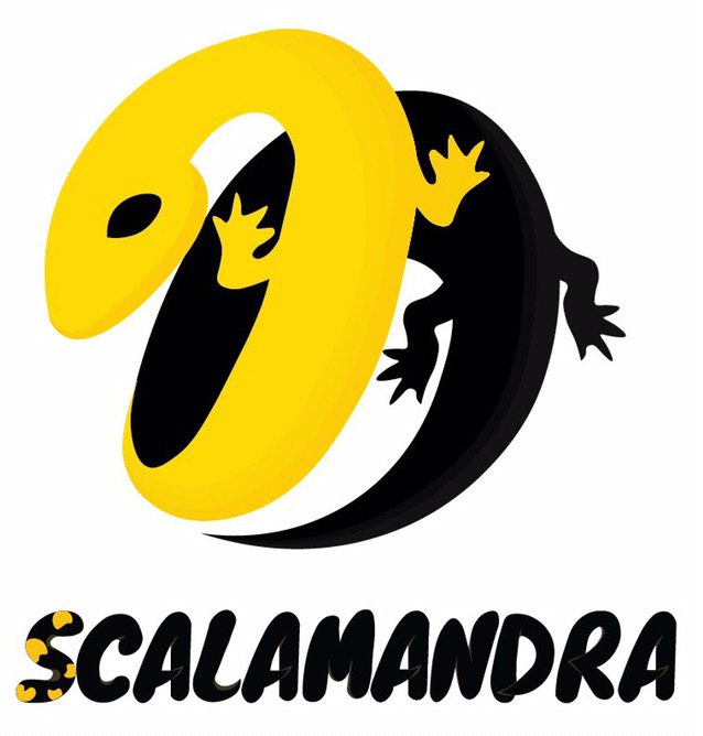 Scalamandra company logo